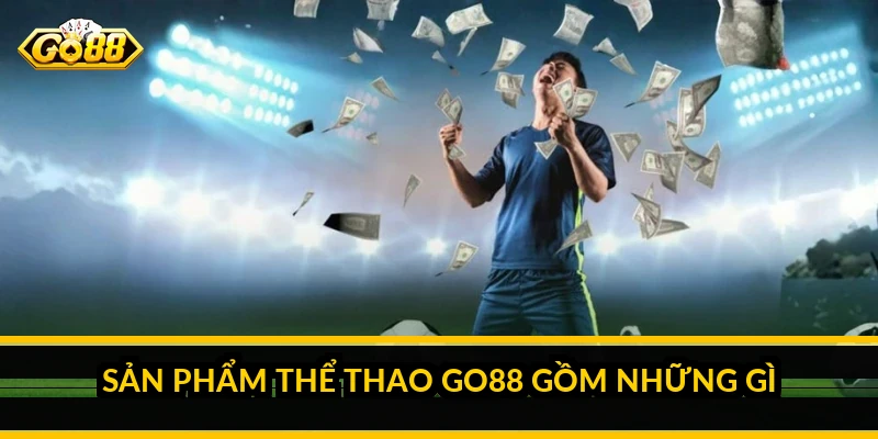 Sản phẩm thể thao Go88 gồm những gì