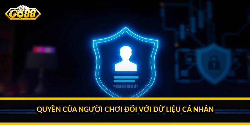 Chính sách bảo mật Go88: Dữ liệu nào được thu thập và dùng vào việc gì Quyền của người chơi đối với dữ liệu cá nhân